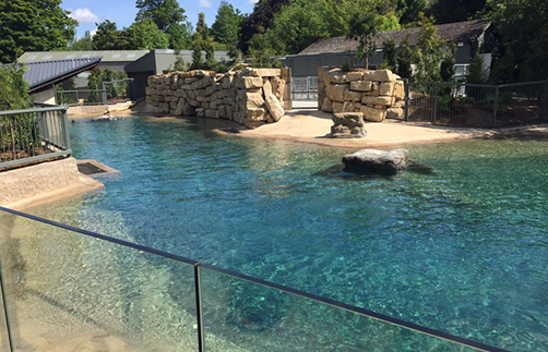Dublin Zoo Project completed by Hayes Higgins Partnership